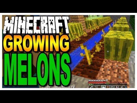 Detail How To Grow Melon Minecraft Nomer 54