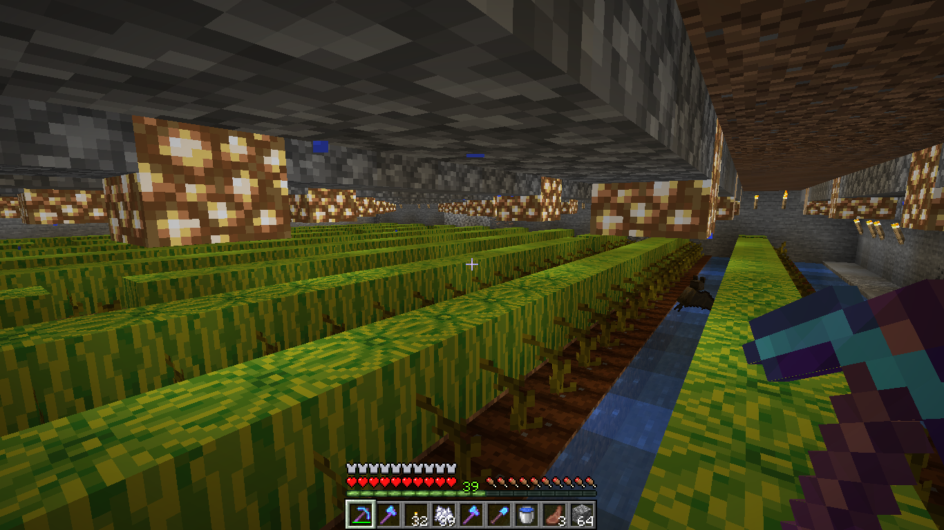 Detail How To Grow Melon Minecraft Nomer 9