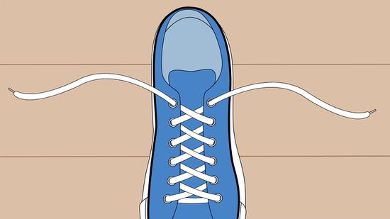 Detail How To Hide Shoelaces Vans Nomer 39