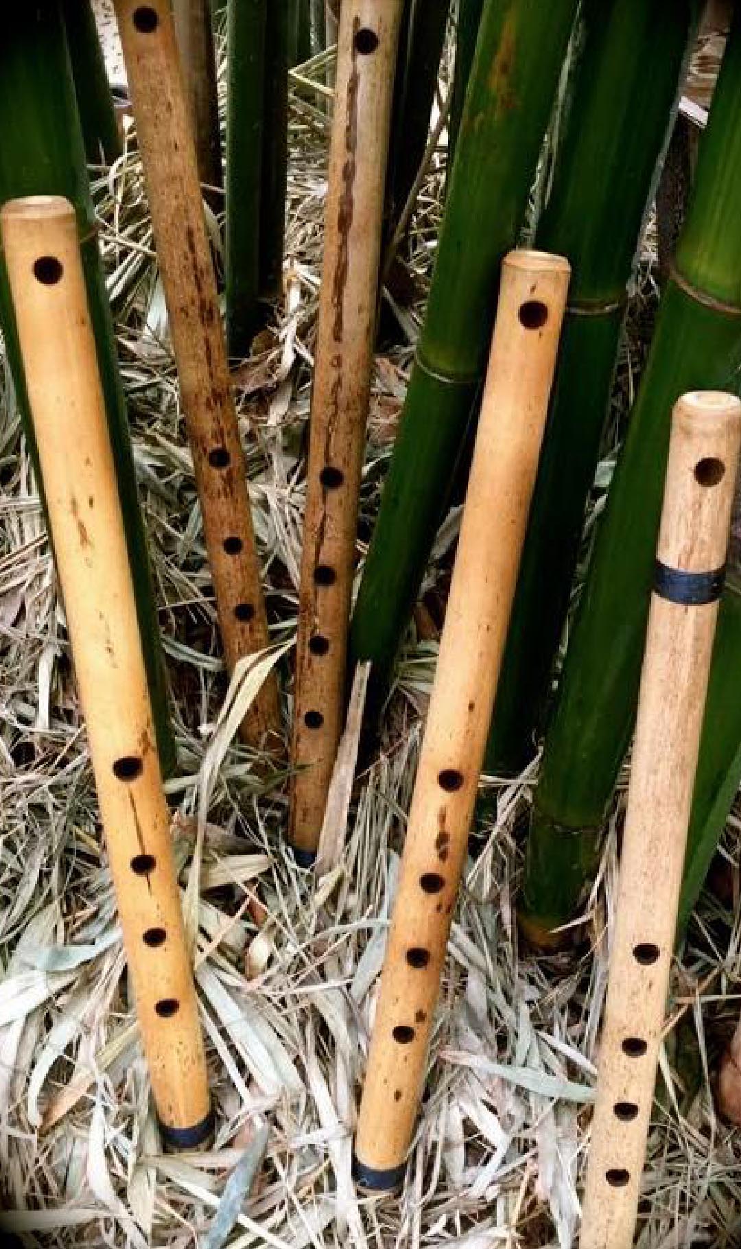 Detail How To Make A Bamboo Flute Youtube Nomer 24