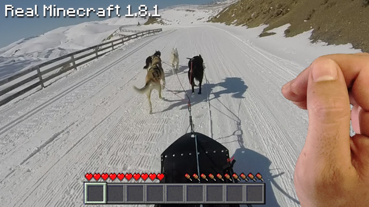 Detail How To Make A Dog Sled In Minecraft Nomer 10
