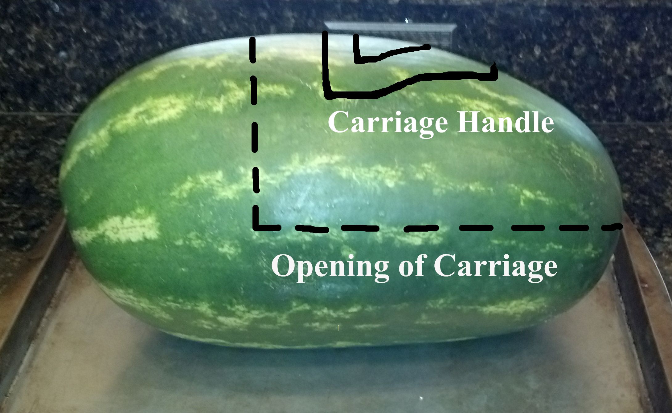 Detail How To Make A Watermelon Baby Carriage Nomer 28