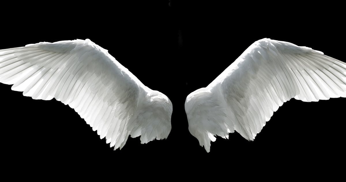 Detail How To Make Angel Wings On A Picture Nomer 46