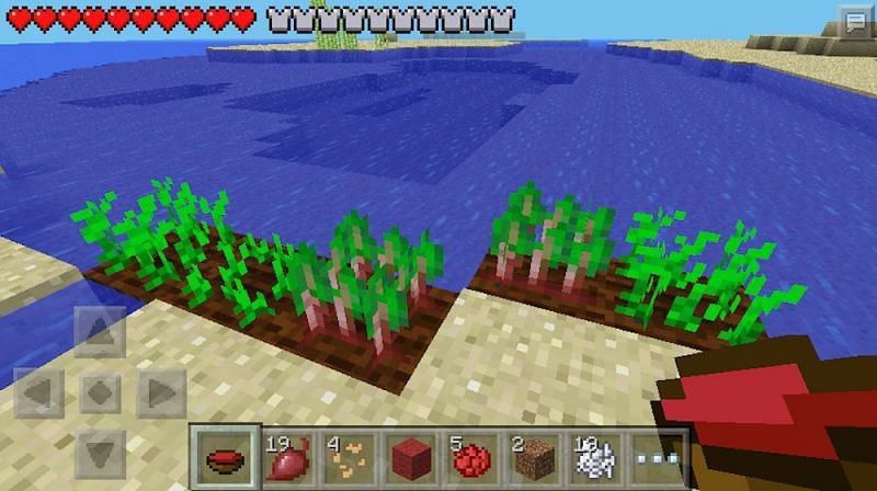 Detail How To Make Beet Soup In Minecraft Nomer 13