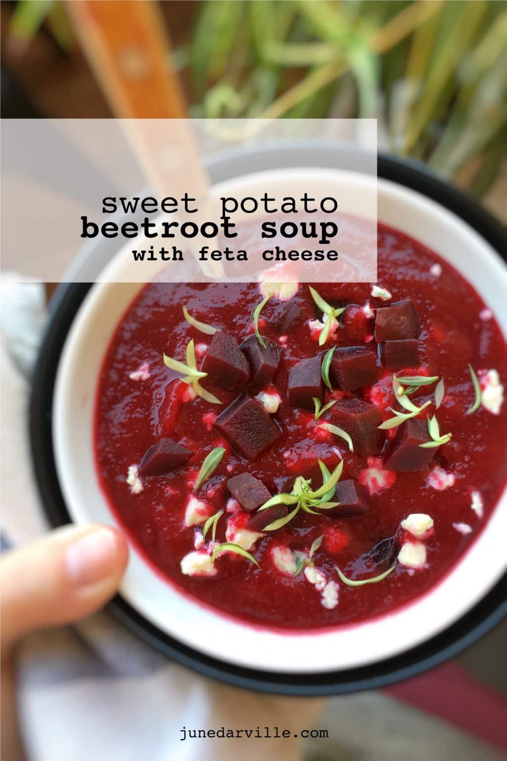 Detail How To Make Beet Soup In Minecraft Nomer 23