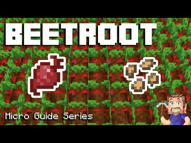 Detail How To Make Beet Soup In Minecraft Nomer 43