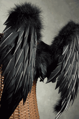 How To Make Black Angel Wings - KibrisPDR