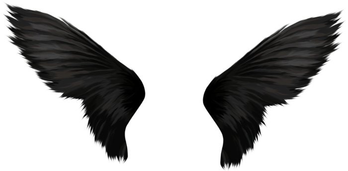 Detail How To Make Black Angel Wings Nomer 14