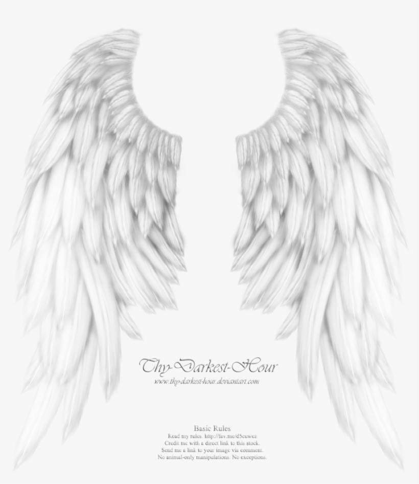 Detail How To Make Dark Angel Wings Nomer 47