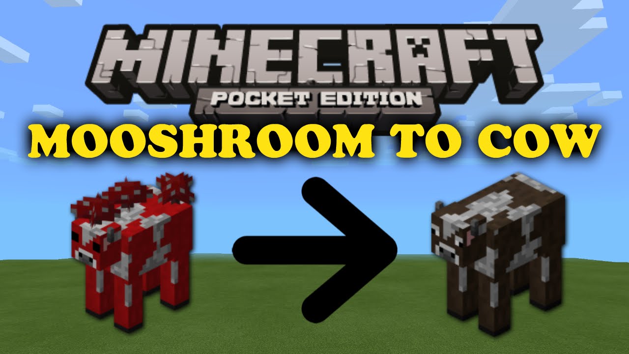 How To Make Mushroom Cow In Minecraft - KibrisPDR