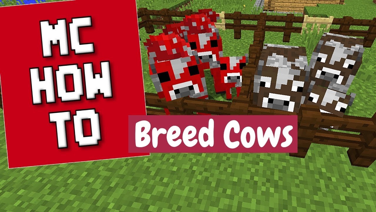 Detail How To Make Mushroom Cow In Minecraft Nomer 24