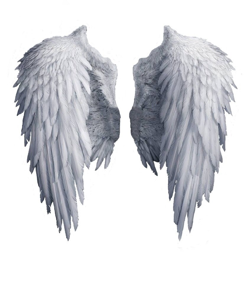 Detail How To Make Realistic Wings Nomer 14