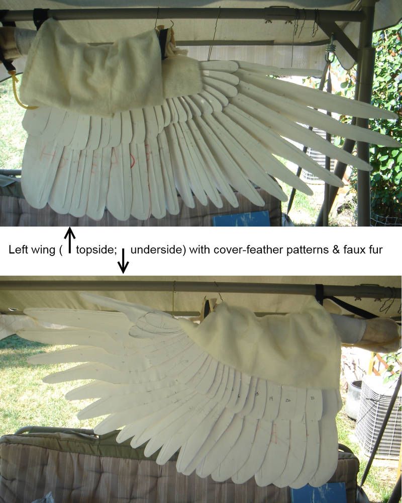 Detail How To Make Realistic Wings Nomer 16