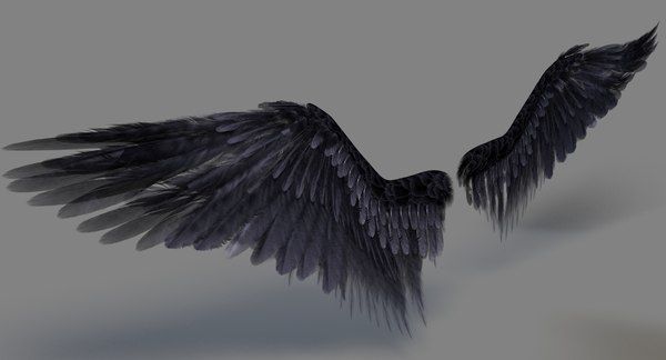 Detail How To Make Realistic Wings Nomer 20