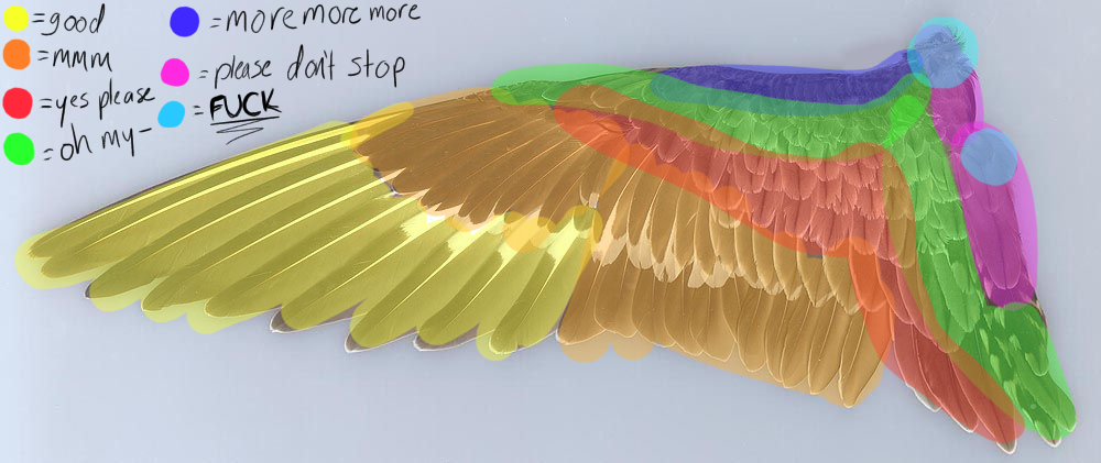 Detail How To Make Realistic Wings Nomer 45