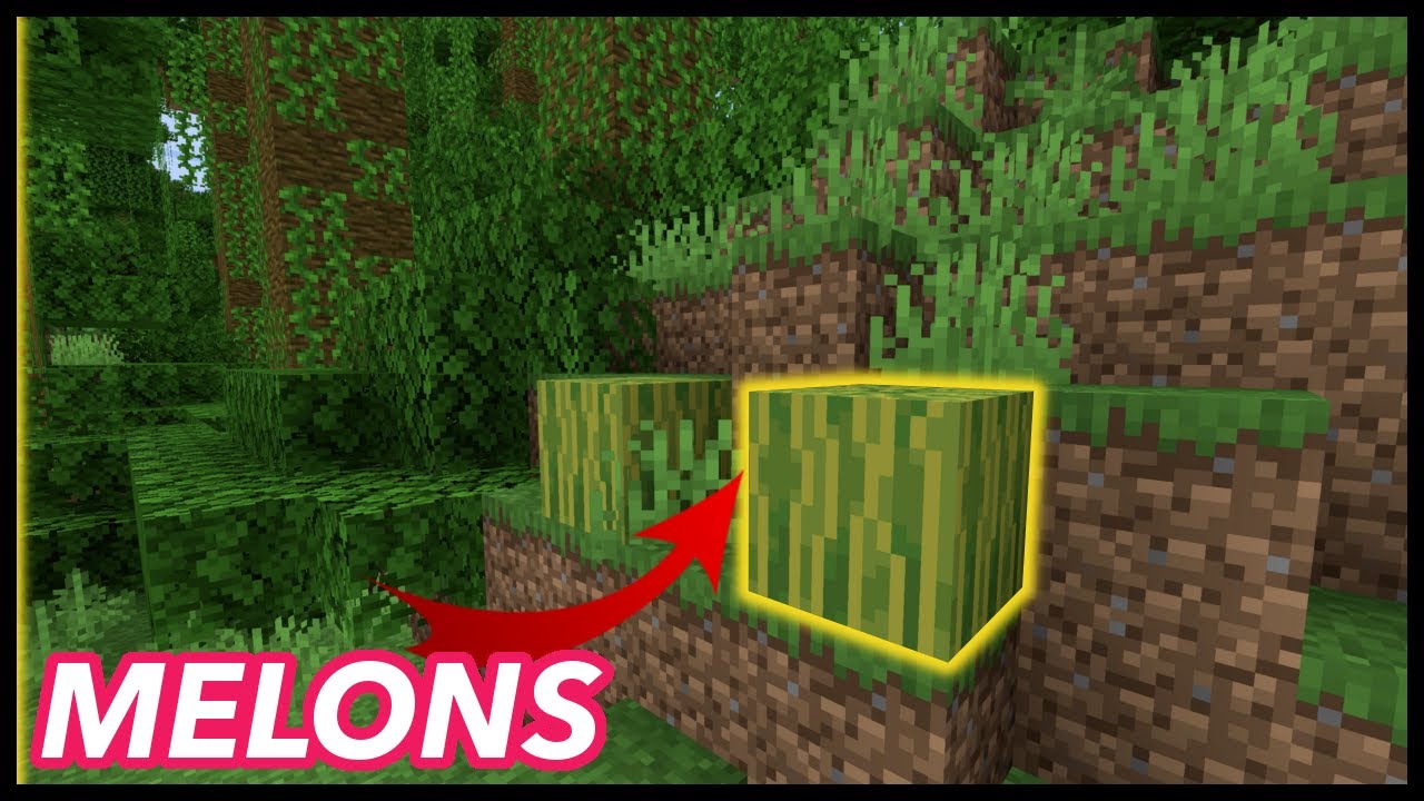 How To Make Watermelon Seeds In Minecraft - KibrisPDR