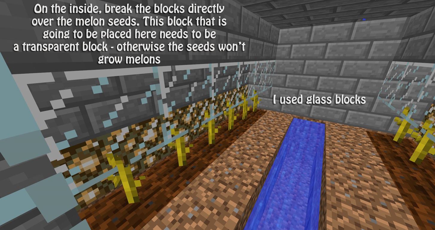 Detail How To Make Watermelon Seeds In Minecraft Nomer 22