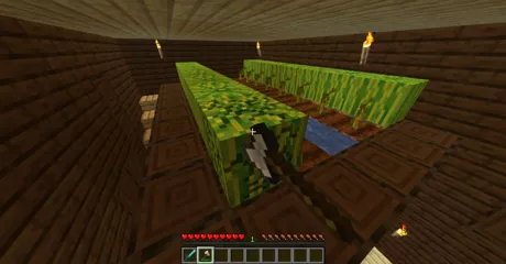 Detail How To Make Watermelon Seeds In Minecraft Nomer 35