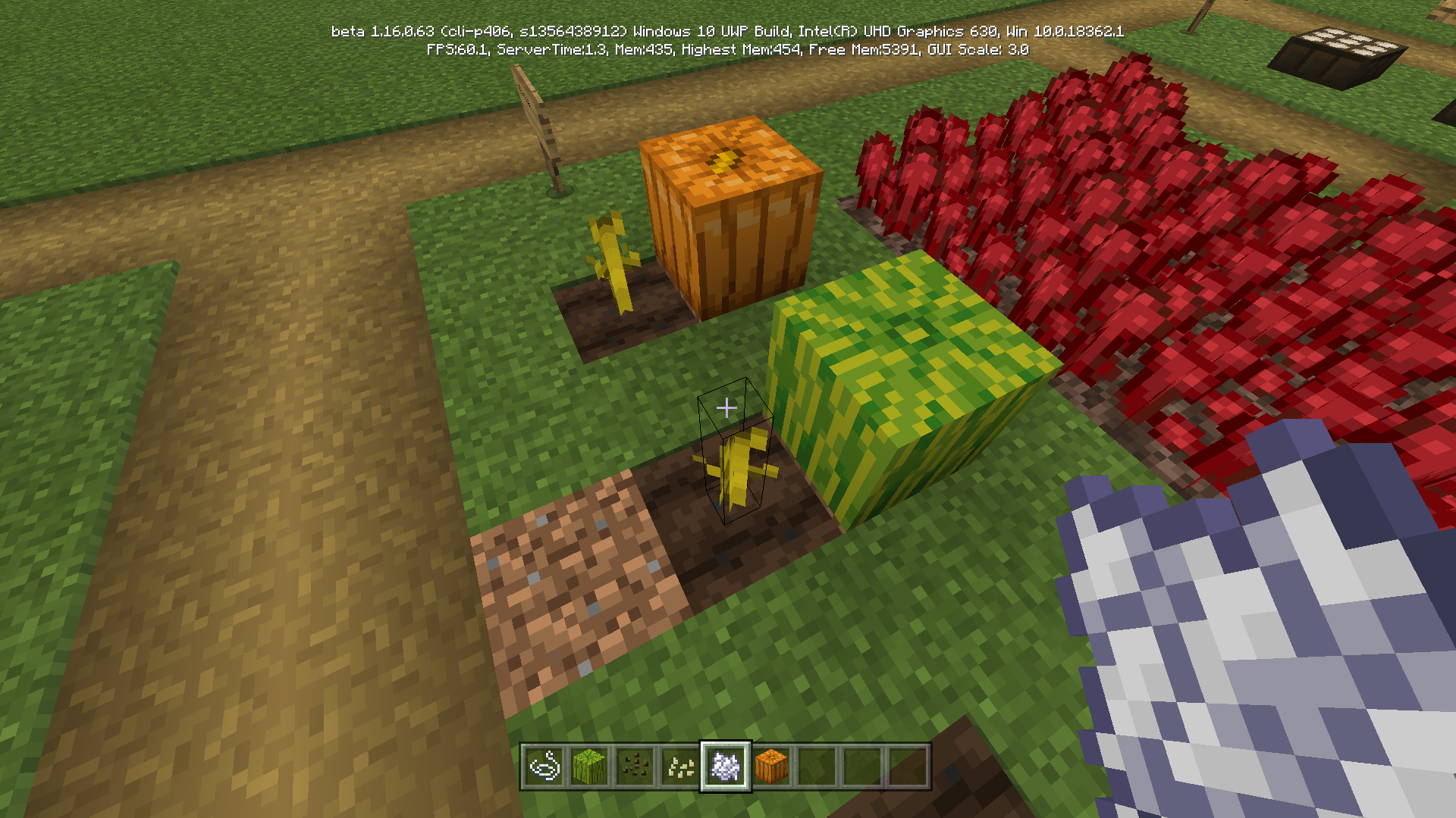 Detail How To Make Watermelon Seeds In Minecraft Nomer 42