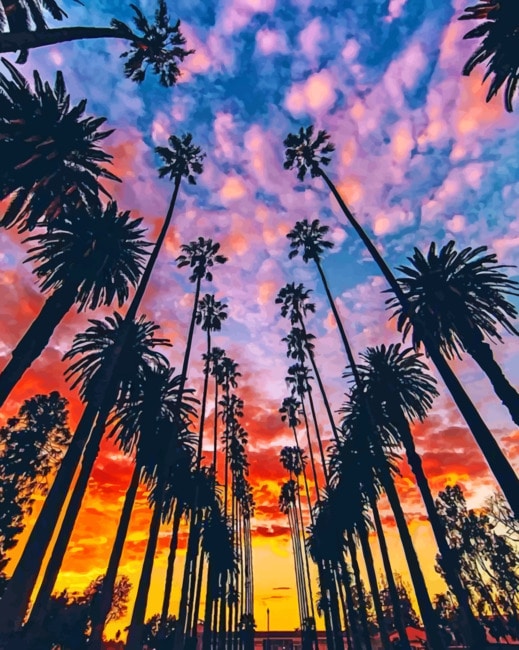 Detail How To Paint Palm Tree Silhouette Nomer 57