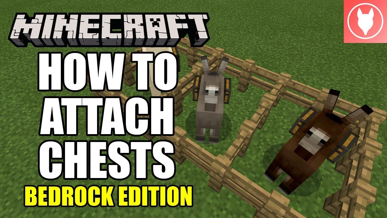 Detail How To Put A Chest On A Donkey In Minecraft Xbox 360 Nomer 2