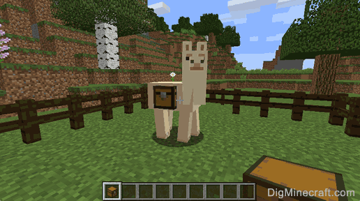 Detail How To Put A Chest On A Donkey In Minecraft Xbox 360 Nomer 13
