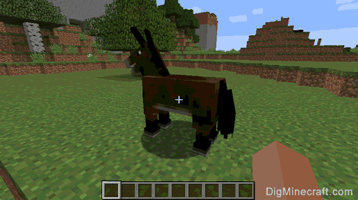 Detail How To Put A Chest On A Donkey In Minecraft Xbox 360 Nomer 14