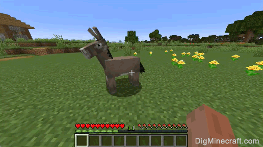 Detail How To Put A Chest On A Donkey In Minecraft Xbox 360 Nomer 15