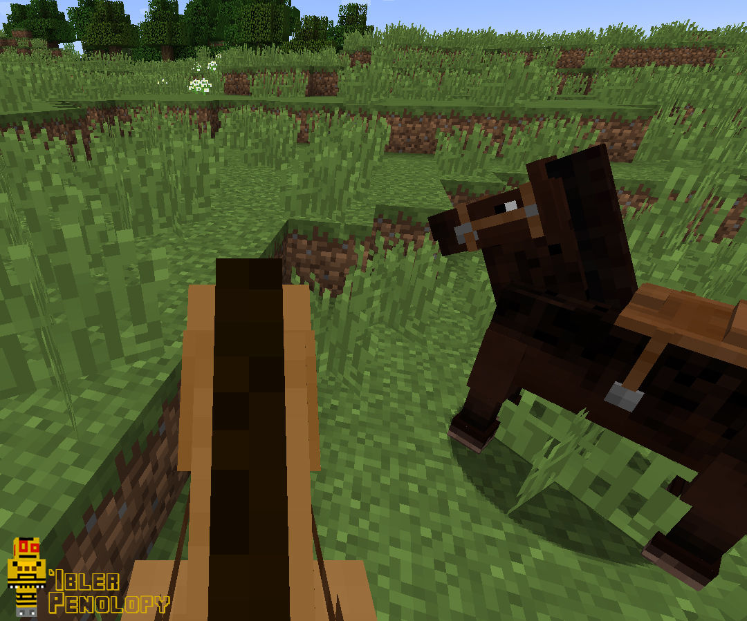 Detail How To Put A Chest On A Donkey In Minecraft Xbox 360 Nomer 16