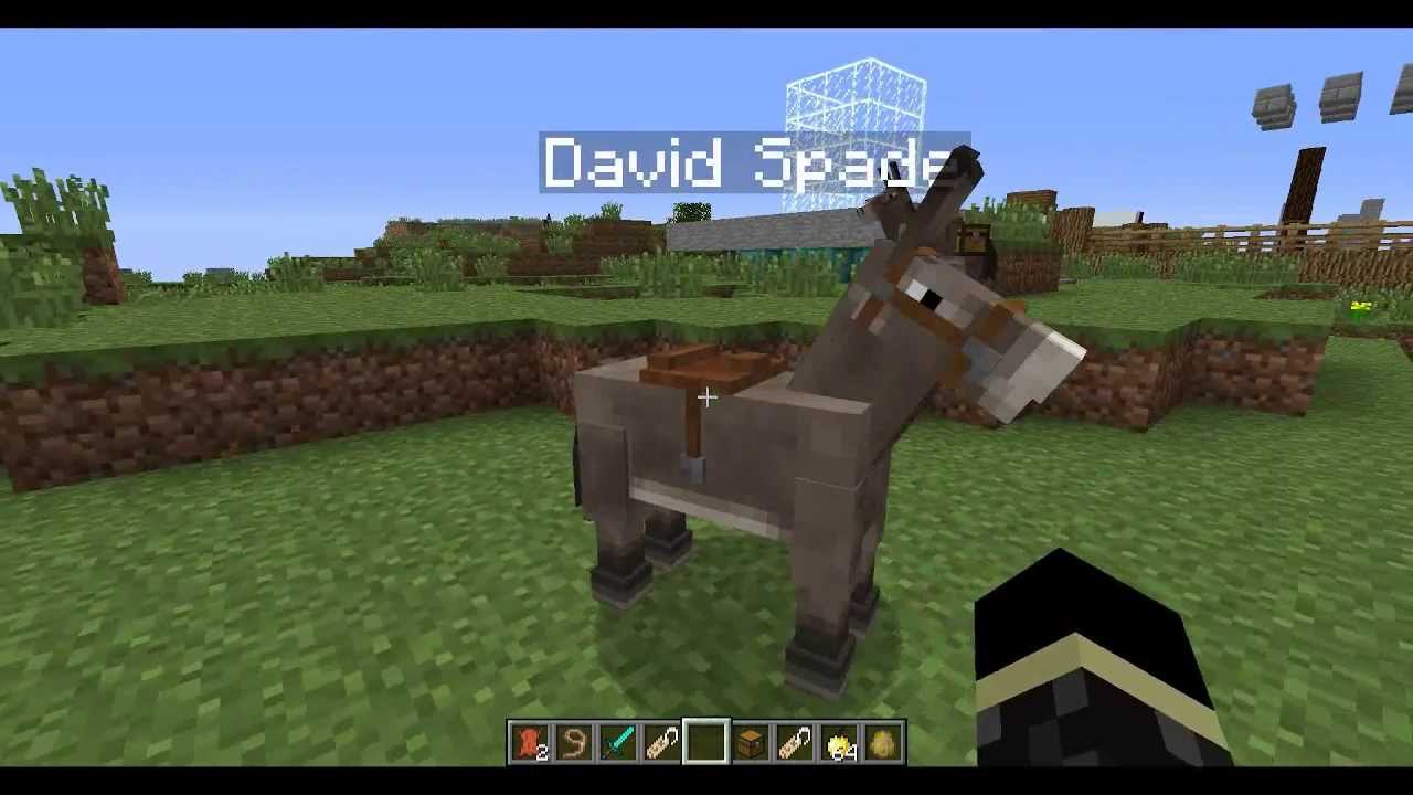 Detail How To Put A Chest On A Donkey In Minecraft Xbox 360 Nomer 3