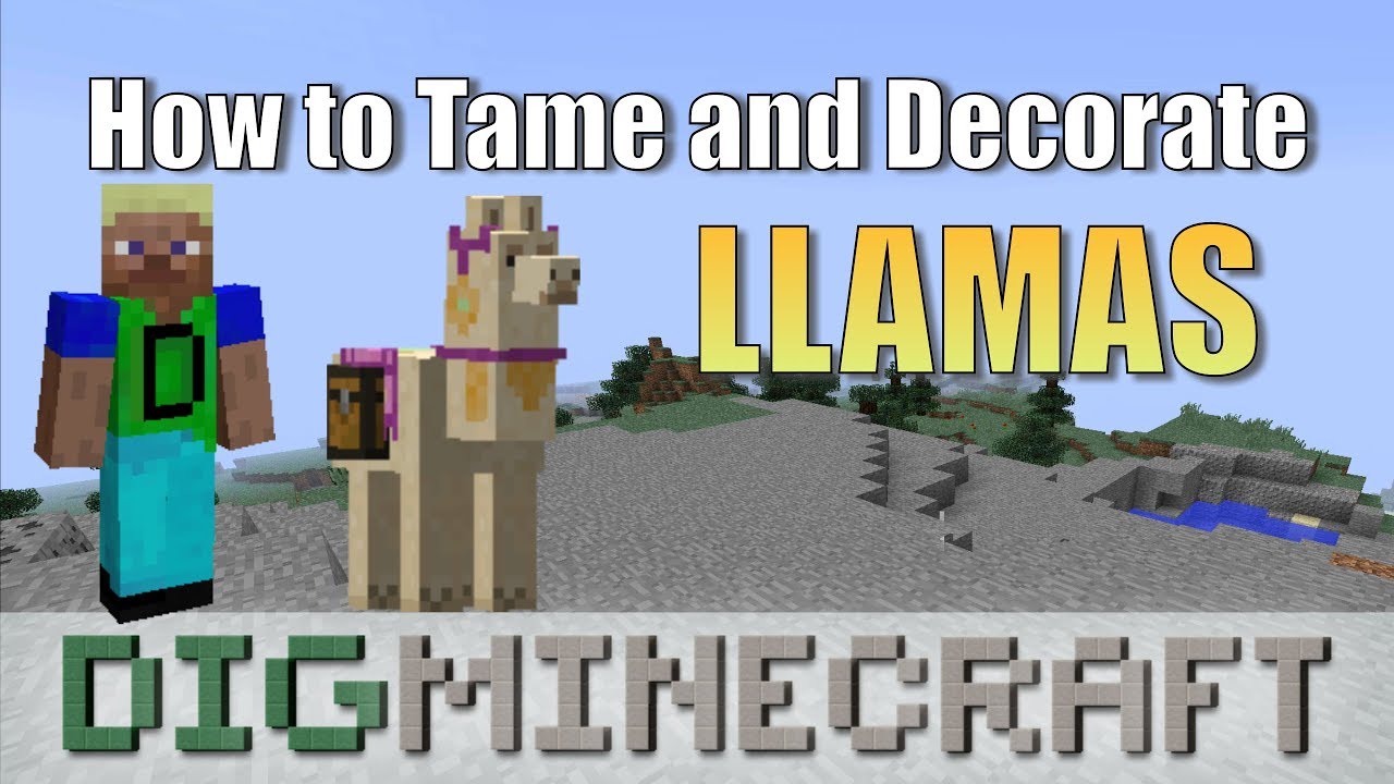 Detail How To Put A Chest On A Donkey In Minecraft Xbox 360 Nomer 20