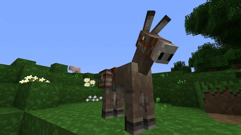 Detail How To Put A Chest On A Donkey In Minecraft Xbox 360 Nomer 25