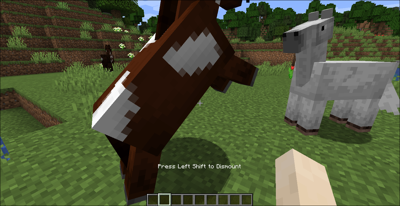 Detail How To Put A Chest On A Donkey In Minecraft Xbox 360 Nomer 29