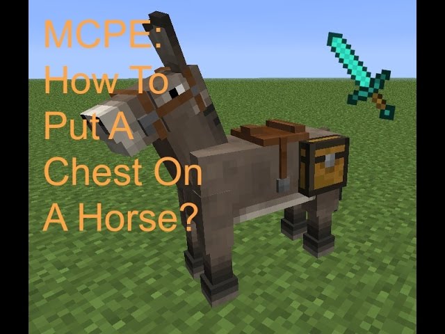 Detail How To Put A Chest On A Donkey In Minecraft Xbox 360 Nomer 5