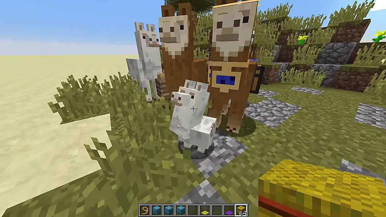 Detail How To Put A Chest On A Donkey In Minecraft Xbox 360 Nomer 46