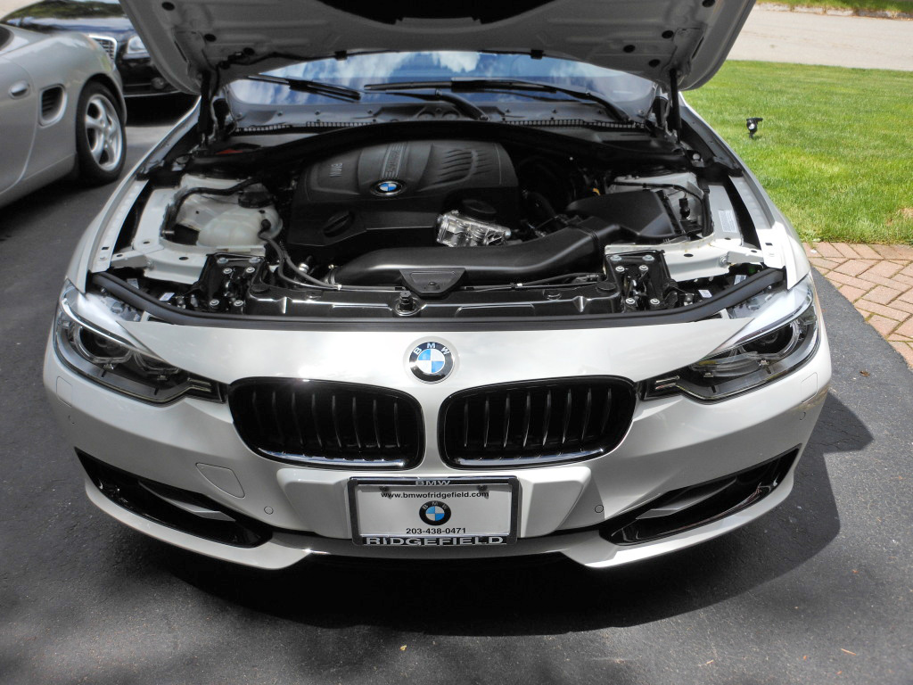 Detail How To Remove Bmw Kidney Grill Nomer 25