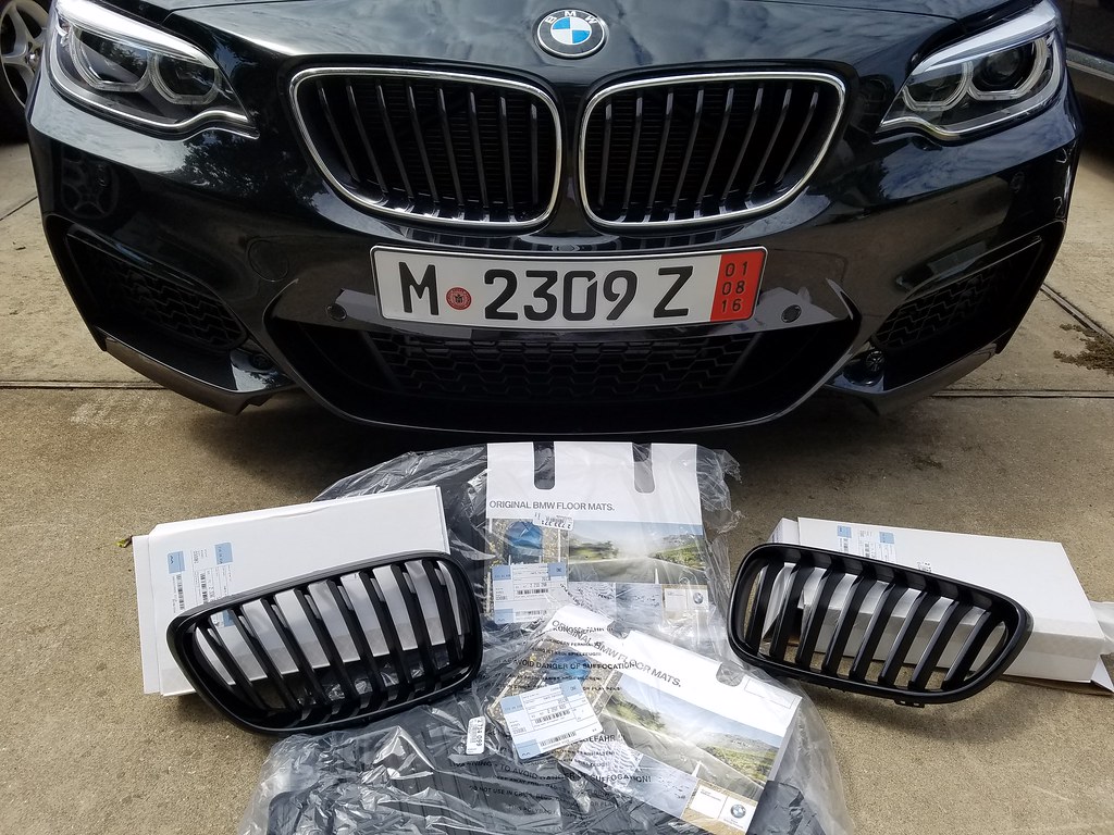 Detail How To Remove Bmw Kidney Grill Nomer 26