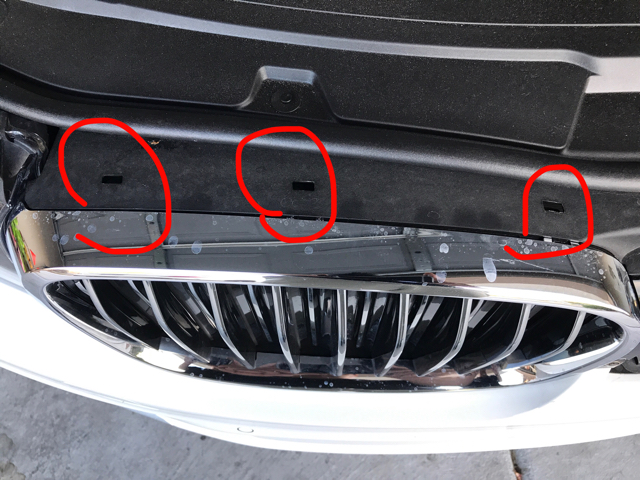 Detail How To Remove Bmw Kidney Grill Nomer 28