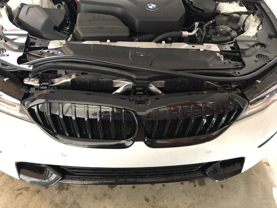 Detail How To Remove Bmw Kidney Grill Nomer 38