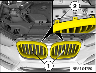 Detail How To Remove Bmw Kidney Grill Nomer 10