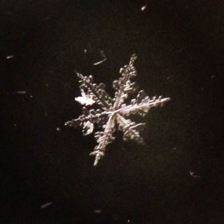 Detail How To Take Pictures Of Snowflakes With Iphone Nomer 12