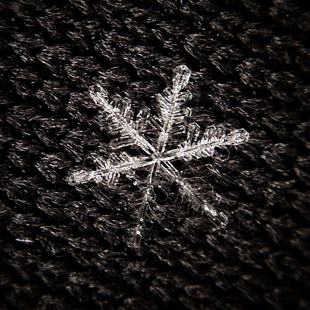 Detail How To Take Pictures Of Snowflakes With Iphone Nomer 13
