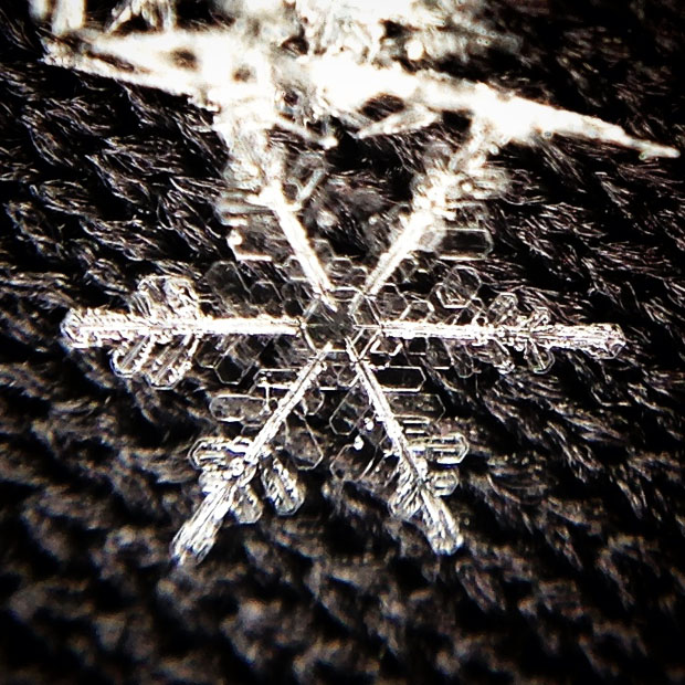 Detail How To Take Pictures Of Snowflakes With Iphone Nomer 14