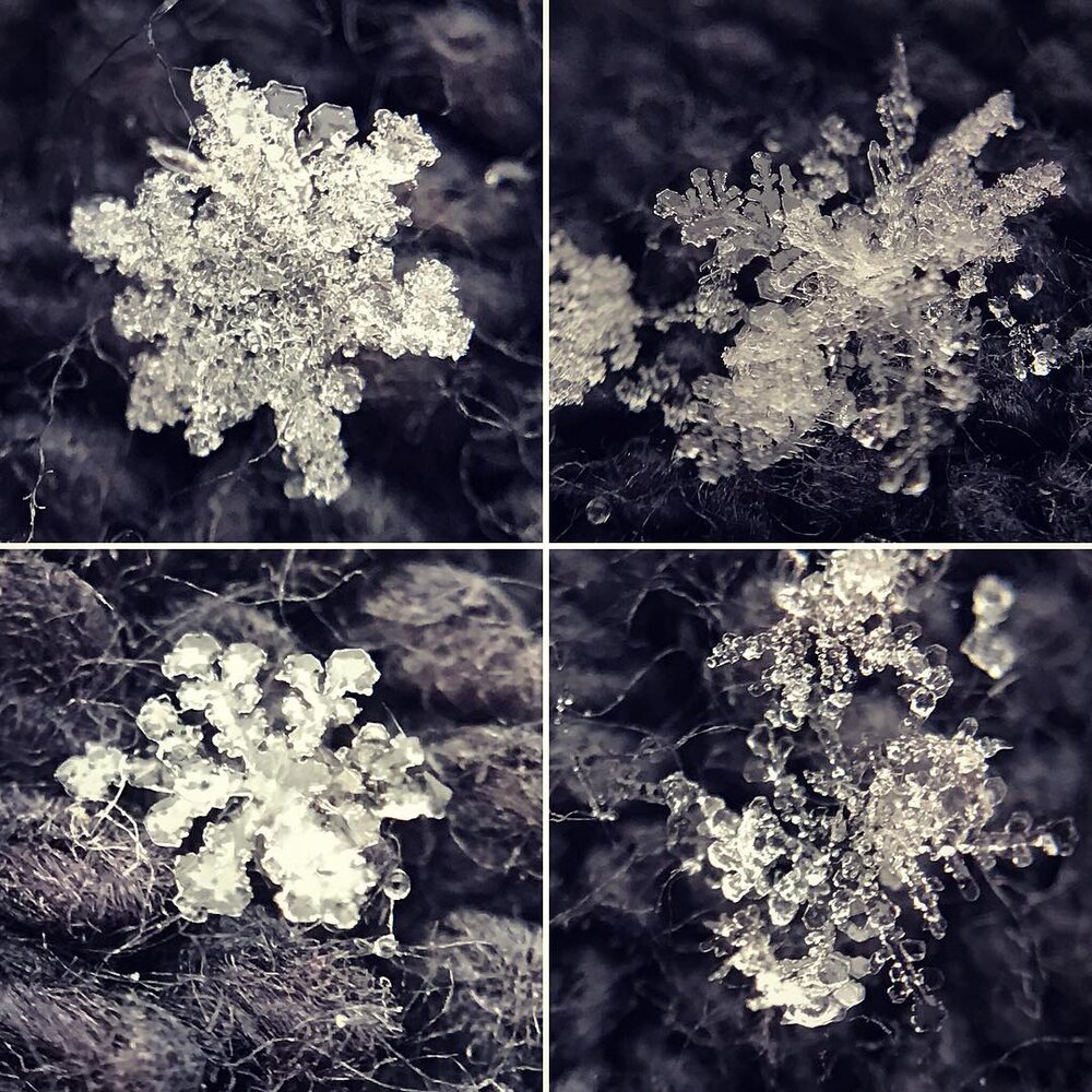 Detail How To Take Pictures Of Snowflakes With Iphone Nomer 15