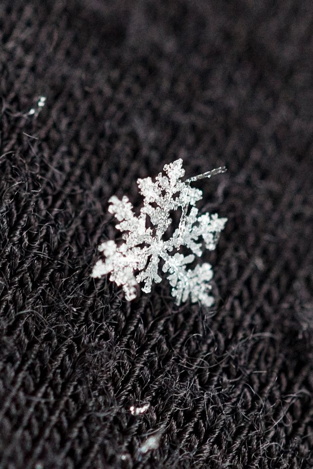 Detail How To Take Pictures Of Snowflakes With Iphone Nomer 19