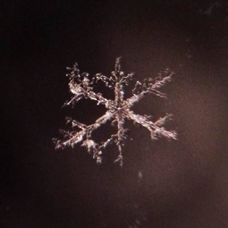 Detail How To Take Pictures Of Snowflakes With Iphone Nomer 3