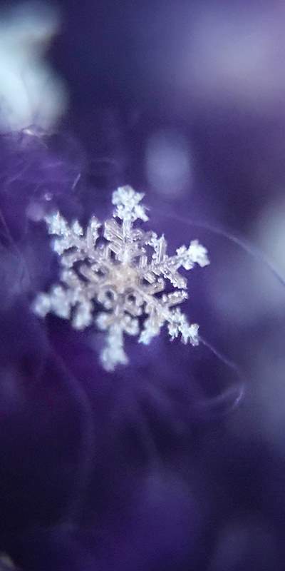 Detail How To Take Pictures Of Snowflakes With Iphone Nomer 23