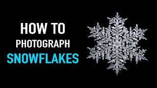 Detail How To Take Pictures Of Snowflakes With Iphone Nomer 27