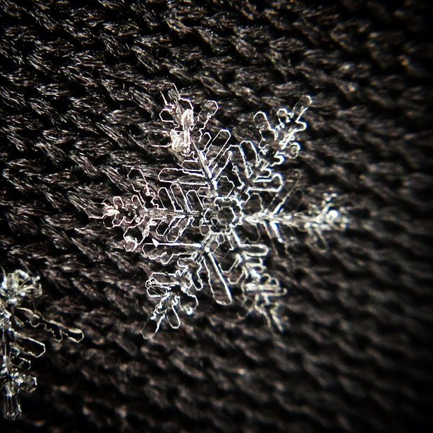 Detail How To Take Pictures Of Snowflakes With Iphone Nomer 7