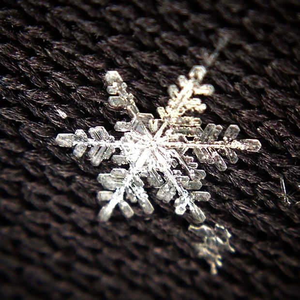 Detail How To Take Pictures Of Snowflakes With Iphone Nomer 10